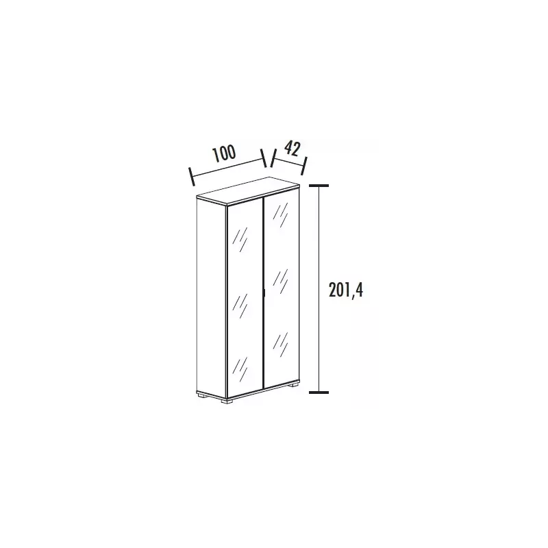 Armoire 2 portes en verre 4 étagères (L : 100 cm x P : 42 cm x H : 201,40 cm) So Laroya