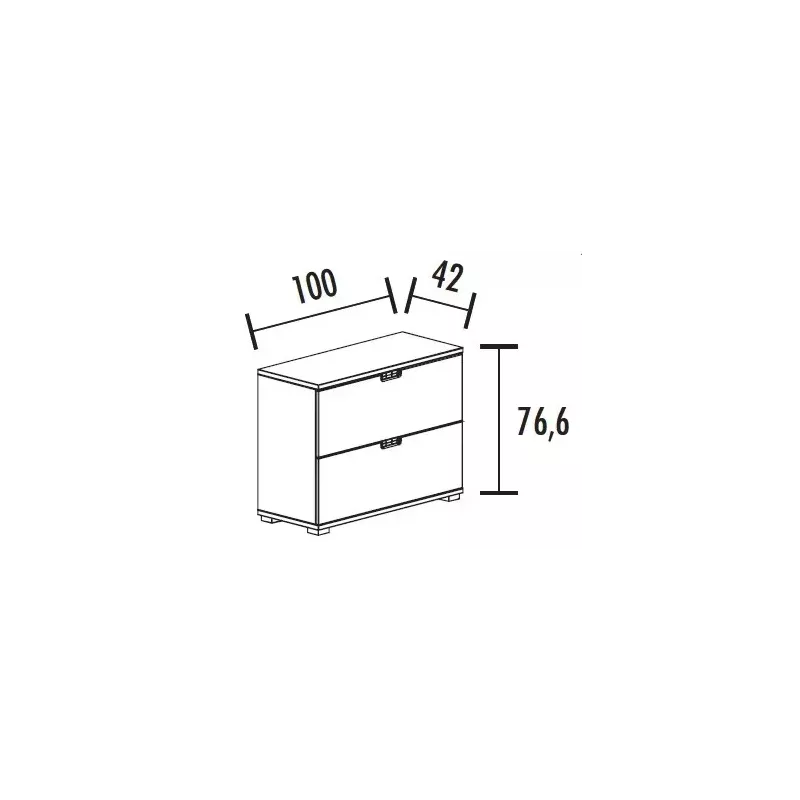 Armoire 2 tiroirs pour dossiers suspendus (L : 100 cm x P : 42 cm x H : 76,60 cm) So Laroya