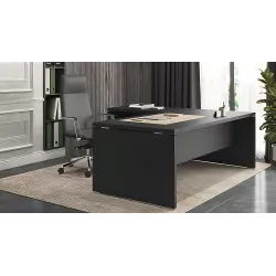 Bureau de Direction avec retour So Laroya