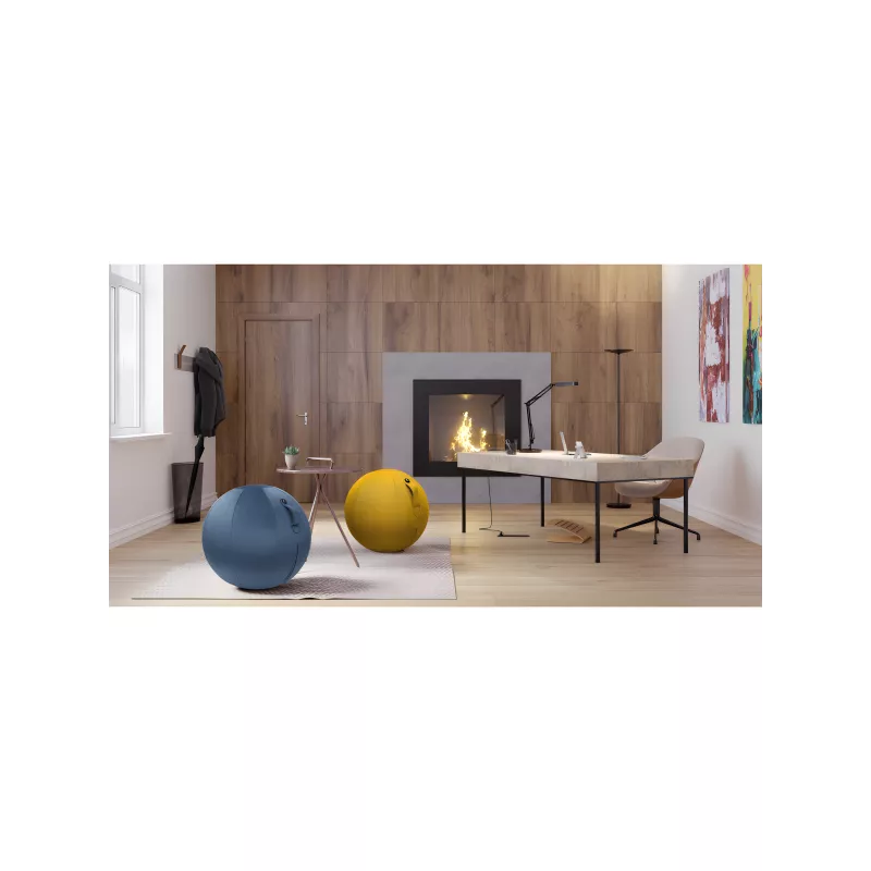 Ballon ergonomique ERGOBALL bleu prestige