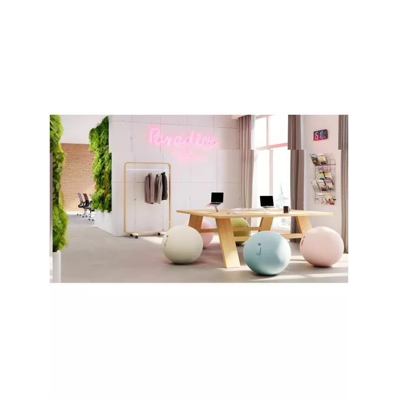 Ballon ergonomique ERGOBALL beige