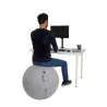 Ballon ergonomique ERGOBALL gris clair