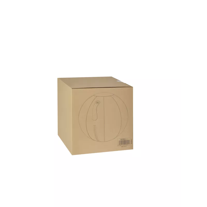 Ballon ergonomique ERGOBALL gris clair