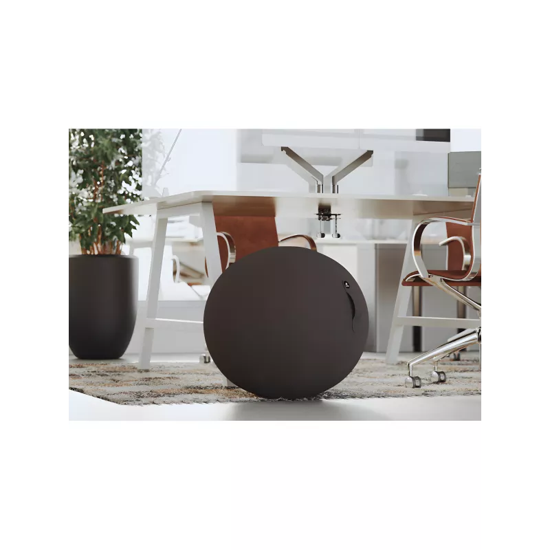 Ballon ergonomique ERGOBALL noir