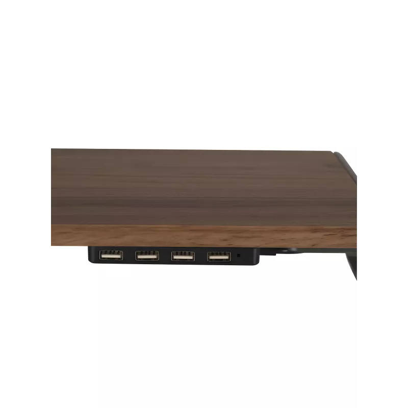 Support réhausseur pour ordinateur portable avec 4 ports USB