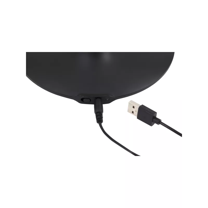 Lampe de bureau transportable noire