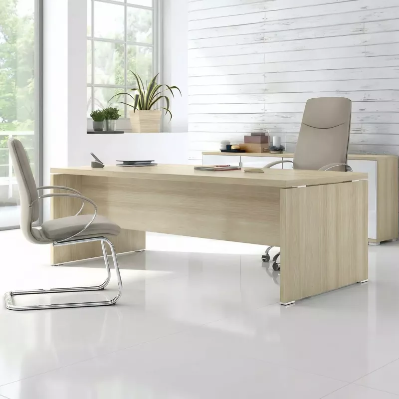 Bureau de direction - So Laroya