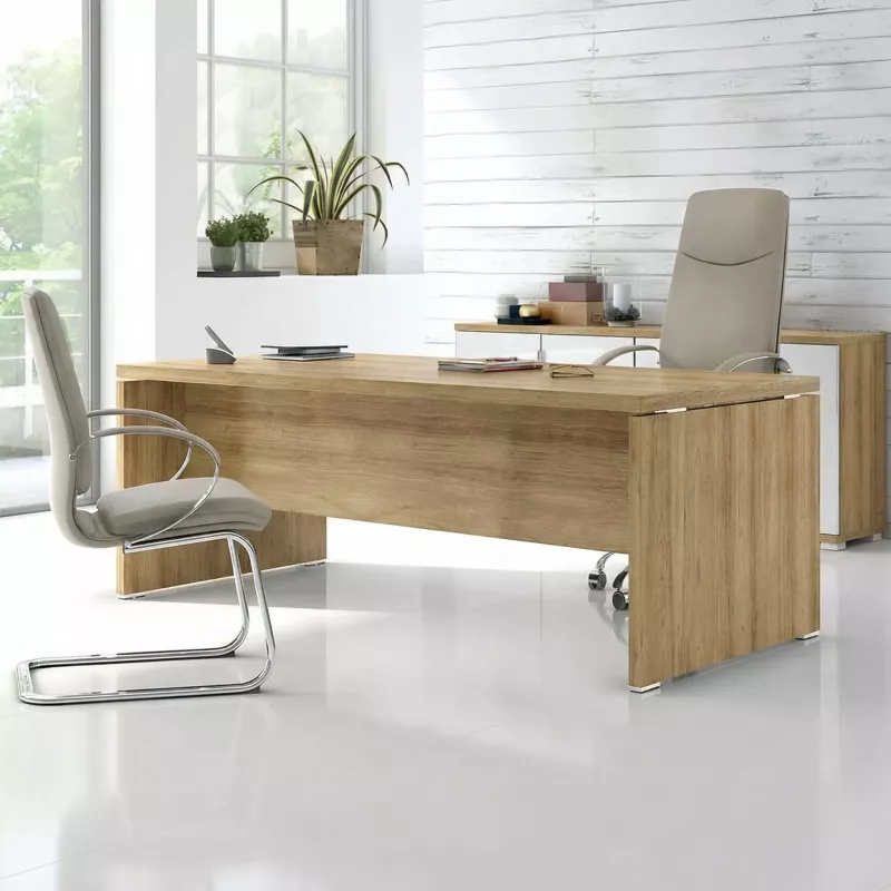 Bureau de direction - So Laroya
