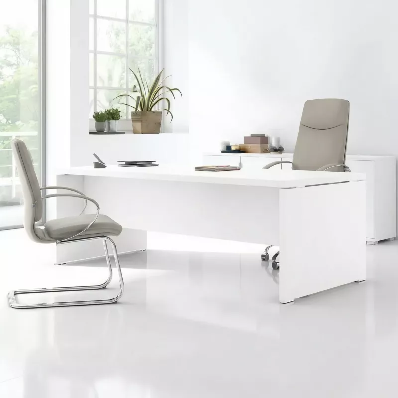 Bureau de direction - So Laroya