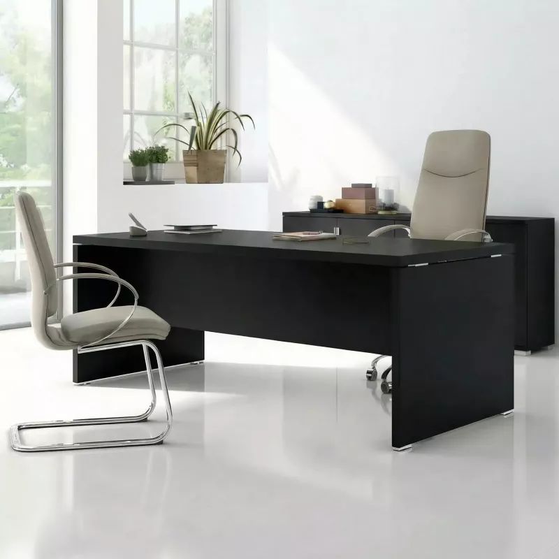 Bureau de direction - So Laroya