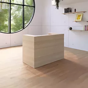 Banque d'accueil – 164 cm – So Ragol