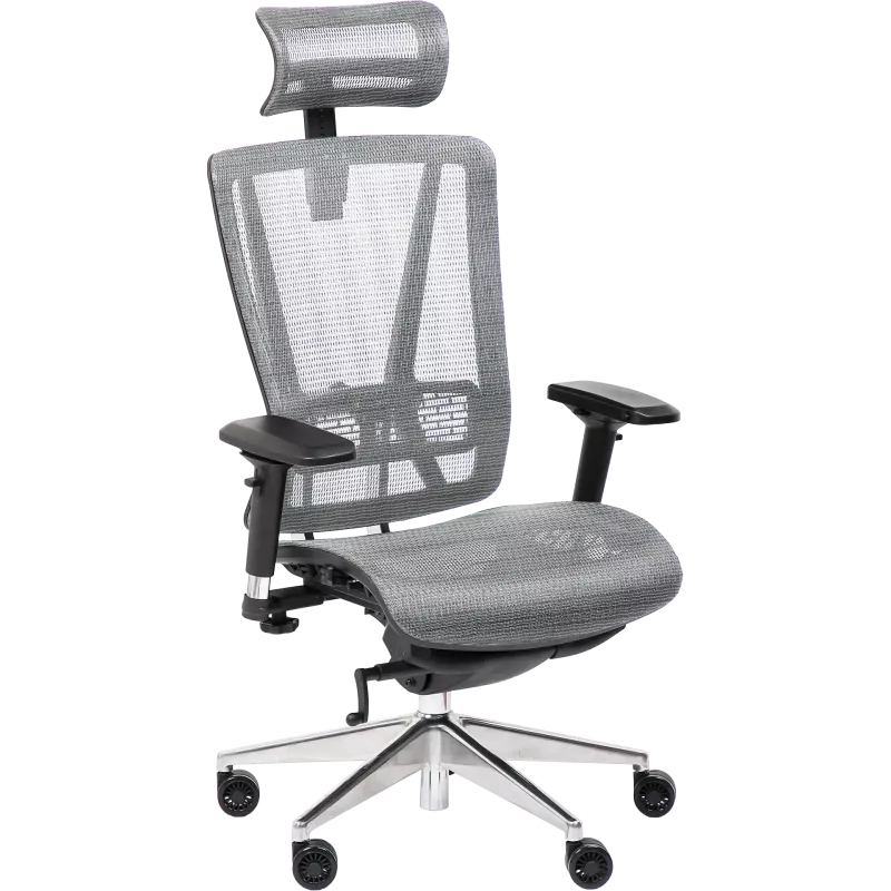 Fauteuil de bureau ergonomique So Ridge