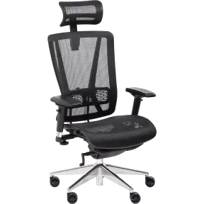 Fauteuil de bureau ergonomique So Ridge