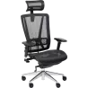 Fauteuil de bureau ergonomique So Ridge