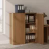 Armoire portes mélaminé portes poussoir - 2 étagères - haut. 120 cm (4 largeurs au choix) So Madrid