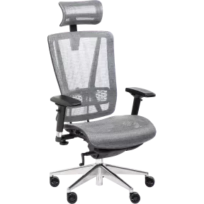 Fauteuil de bureau ergonomique So Ridge