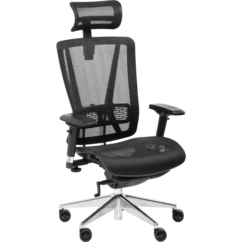 Fauteuil de bureau ergonomique So Ridge