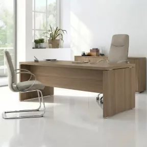 Bureau de direction - So Laroya