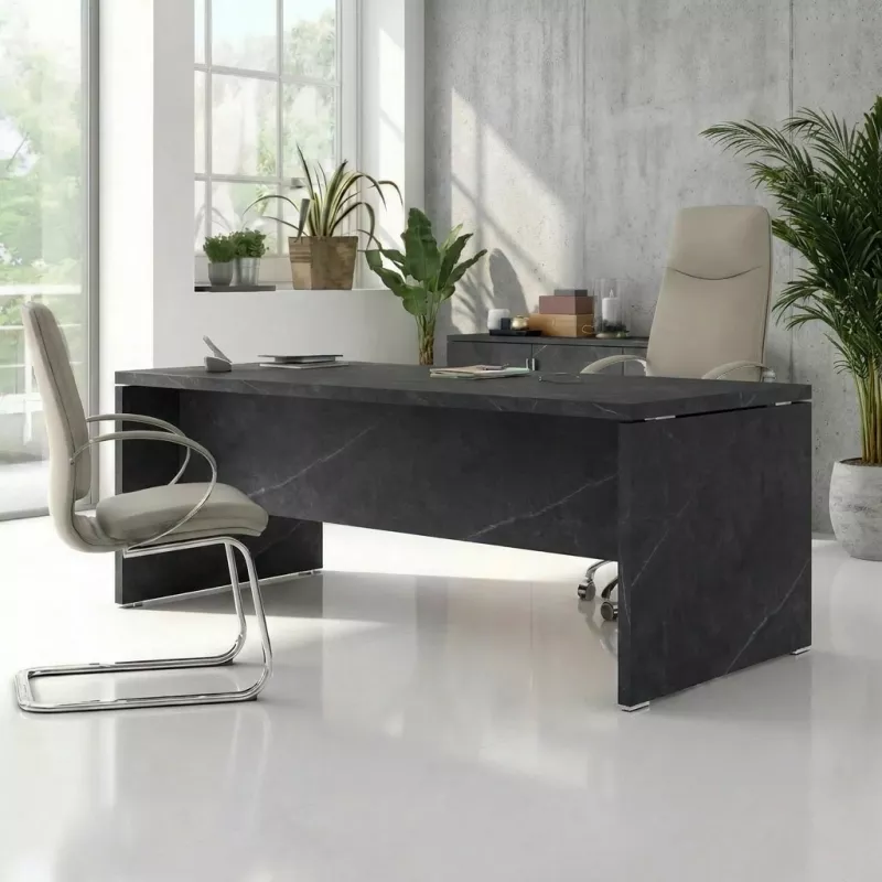 Bureau de direction - So Laroya