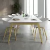 Table de réunion rectangulaire, jusqu'à 18 personnes - So Bédar