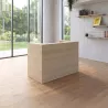 Banque d'accueil, 144 cm à 184 cm – So Ragol