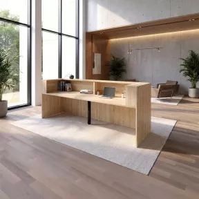 Banque d'accueil, 244 cm à 364 cm - So Ragol