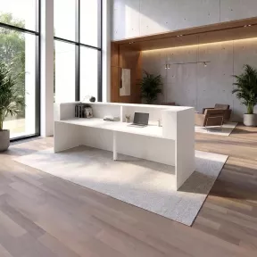 Banque d'accueil, 244 cm à 364 cm - So Ragol