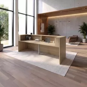 Banque d'accueil, 244 cm à 364 cm - So Ragol
