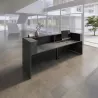 Banque d'accueil, de 244 cm à 364 cm - So Ragol +