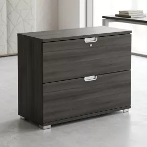 Armoire basse 2 tiroirs à dossiers suspendus, l 100 x h 76 cm - So Laroya