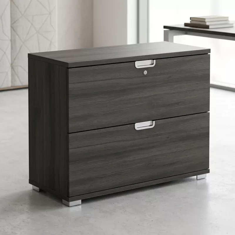 Armoire basse 2 tiroirs à dossiers suspendus, l 100 x h 76 cm - So Laroya