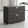 Armoire basse 2 tiroirs à dossiers suspendus, l 100 x h 76 cm - So Laroya