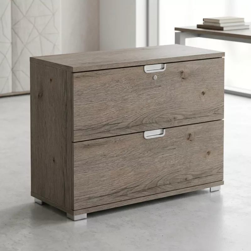 Armoire basse 2 tiroirs à dossiers suspendus, l 100 x h 76 cm - So Laroya