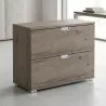 Armoire basse 2 tiroirs à dossiers suspendus, l 100 x h 76 cm - So Laroya
