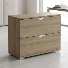 Armoire basse 2 tiroirs à dossiers suspendus, l 100 x h 76 cm - So Laroya
