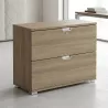Armoire basse 2 tiroirs à dossiers suspendus, l 100 x h 76 cm - So Laroya