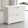 Armoire basse 2 tiroirs à dossiers suspendus, l 100 x h 76 cm - So Laroya