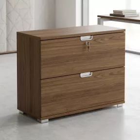 Armoire basse 2 tiroirs à dossiers suspendus, l 100 x h 76 cm - So Laroya