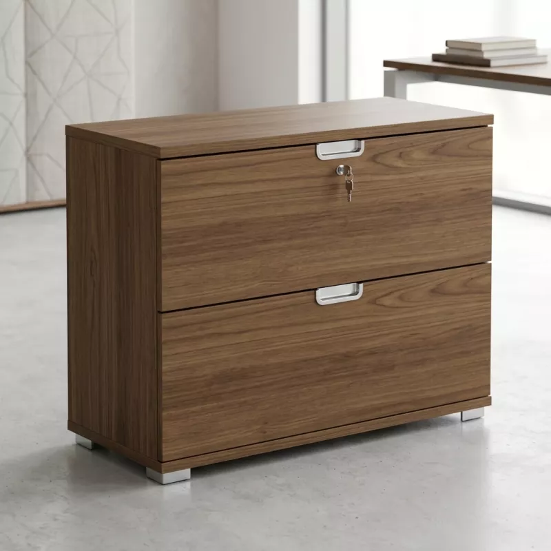 Armoire basse 2 tiroirs à dossiers suspendus, l 100 x h 76 cm - So Laroya
