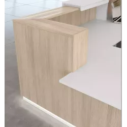 Banque d’accueil PMR avec rehausse 300 à 460 cm – So Ragol+