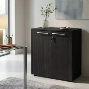 Armoire basse 2 portes mélaminé à serrure - 1 étagère - L. 83 x P. 43 x H. 81 cm So Flora