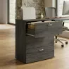 Armoire 3 tiroirs, pour dossiers suspendus, hauteur 120 cm - So Madrid