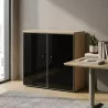 Armoire moyenne fermée, porte en verre, hauteur 120 cm – So Madrid