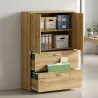 Armoire fermée, pour dossiers suspendus, hauteur 158 cm – So Madrid