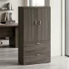 Armoire fermée, pour dossiers suspendus, hauteur 196 cm – So Madrid