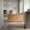 Armoire basse 4 portes, 2 étagères, l 200 x h 76 cm - So Laroya