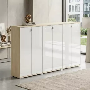 Armoire portes en verre, 9 étagères, L 300 x H 147 cm - So Laroya