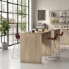 Table haute professionnelle hauteur 105 cm - So Sevilla