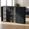 Armoire basse H 160 cm, 3 éléments, 1 paire de portes vitrées – So Flora
