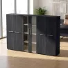 Armoire basse H 160 cm, 3 éléments, 1 paire de portes vitrées – So Flora
